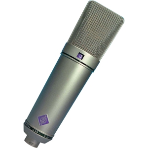 纽曼 Neumann U 89 i 多点模式电容式麦克风（镍）
