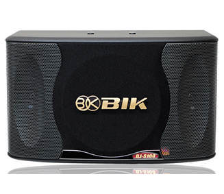 BIK  BJ-S100 卡包音响