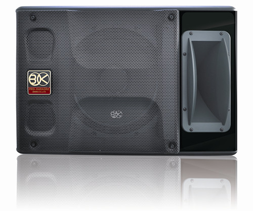 BIK BP-S55 卡包音响
