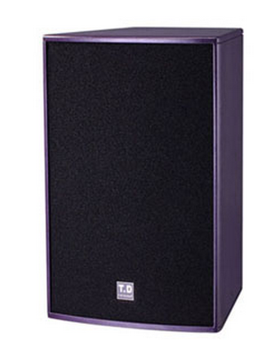 唐龙太极 T.D TAICHEE T-10 10寸音响