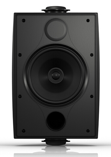 天朗 TANNOY DVS 6 EN54 壁挂音响