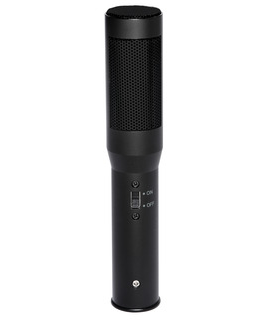 宝龙 PROEL LDF320 电容话筒