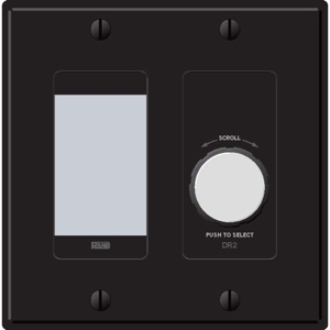 莱恩 RANE DR2B  黑色的数字遥控器
