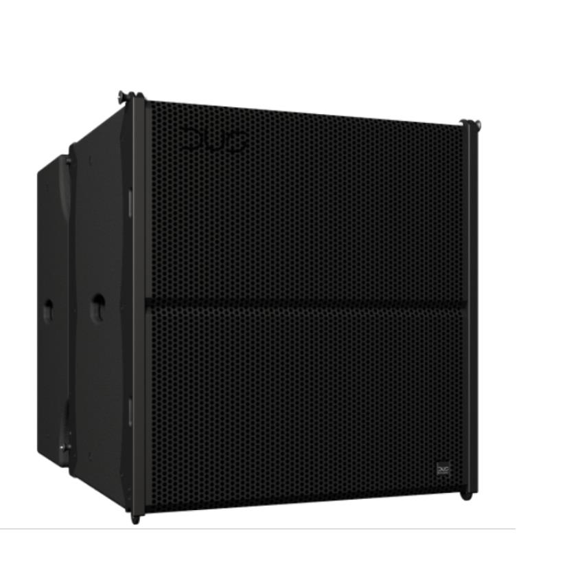 DUS AUDIO QH10SWAP 线阵列超低音音箱(附带数字式模块)