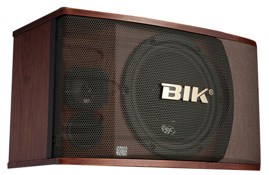 BIK  BS-880SV 卡包音响