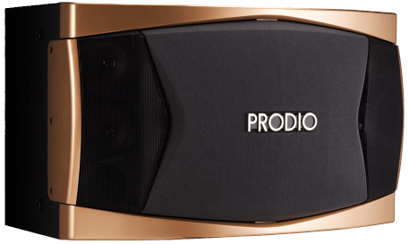 宝迪奥 PRODIO USP1200 卡包音箱