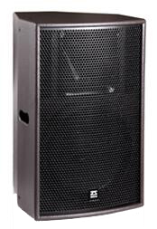 声扬 ZSOUND V 10 专业音响