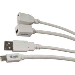 格芬  Gefen  迷你的DisplayPort / USB组合电缆（15）