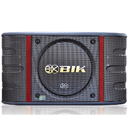 BIK  BS-999NV  卡包音响