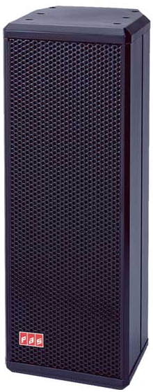 PAS P-100 双5寸音柱