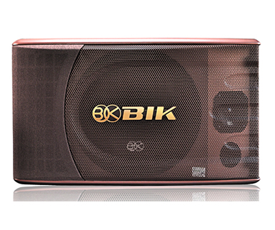 BIK  BS-880II 卡包音响