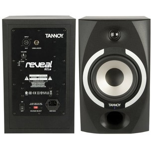 天朗 TANNOY REVEAL 601p 监听音箱