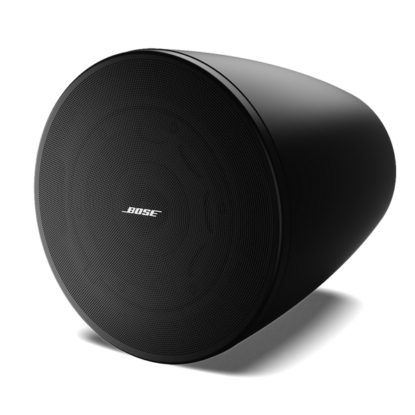 博士BOSE DesignMax DM6PE 6寸吊装音箱