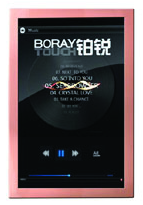 铂锐 BORAY  H240W  KTV触摸屏点歌台