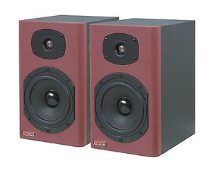 NADY SM-120 专业音箱