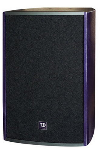 唐龙太极 T.D TAICHEE TF-710 10寸音响